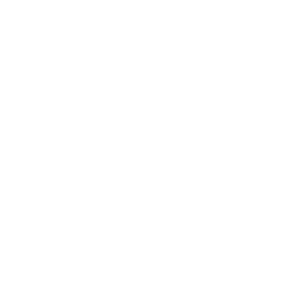 Dog Race